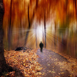 Wondrous Woodland by Jessica Jenney