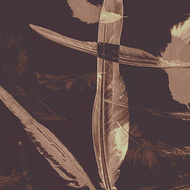 Writers guild abstract by Jorgo Photography