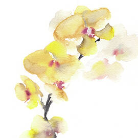 Yellow Orchids Watercolor Painting by Sophia Rodionov