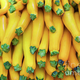 Yellow zucchini by Bruce Block
