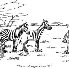 You were not supposed to see this by Joe Dator