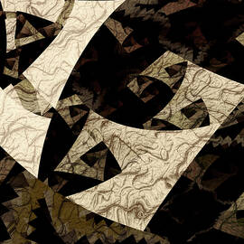 Z-Plane by Vic Eberly