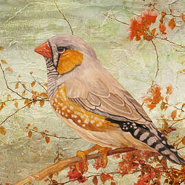 Zebra Finch Among Almond Trees by Angeles M Pomata