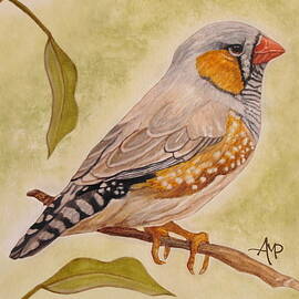 Zebra Finch Watercolor by Angeles M Pomata