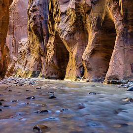 Zion Canyon Gorge by Adam Mateo Fierro