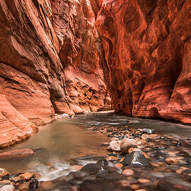 Zion Narrows by Russell Wells