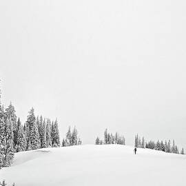 A Man Ski-tours Through A Field by Derek Diluzio