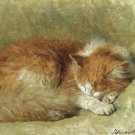 A Sleeping Cat by Henriette Ronner-knip