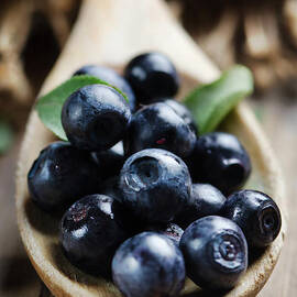 Blueberry by Jelena Jovanovic
