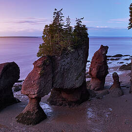 Canada, New Brunswick, Bay Of Fundy, The Hopewell Rocks At Sunset by Richard Taylor