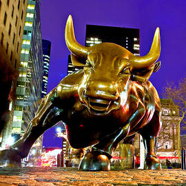 Charging Bull, Financial District, Nyc by Claudia Uripos