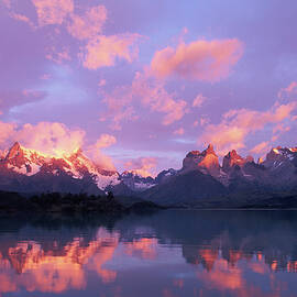 Chile, Patagonia, Torres Del Paine Np by Paul Souders