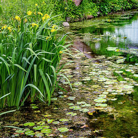 Clayton-cedarmere Estate, Ny by Lumiere