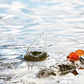 Colorful Beech Leaves Are Lying On A Stone, In Addition, Sprays Water High  by Wolfgang Gasser