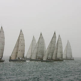 Competitive Sailing In Key West by Schedivy Pictures Inc.