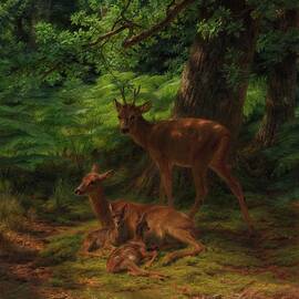 Deer In Repose by Rosa Bonheur