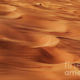 Desert Sand Texture by Jelena Jovanovic