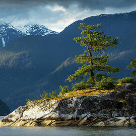 Desolation Sound, Bc, Canada by Paul Souders