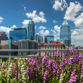 Downtown Skyline, Austin, Texas by Milton Photography