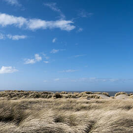 Dunes, Domburg, North Sea Coast, Zeeland, Netherlands by Ernst Wrba