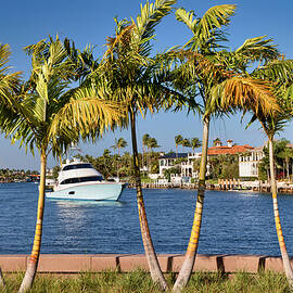 Florida, Boca Raton, Park Overlooking Intercoastal by Laura Diez