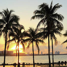 Florida Miami by Shunyufan