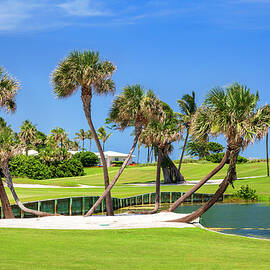 Golf Course by Lumiere