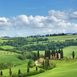 Green Hills Of Tuscany In The Spring by Mammuth