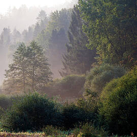 Hafenlohrtal, Spessart Nature Park, Lower Franconia, Bavaria, Germany by Volker Müther