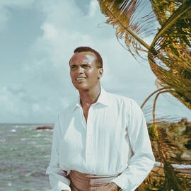 Harry Belafonte Portrait by Archive Photos