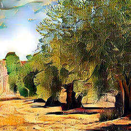 Ionian Olive Grove by Antonios Valamontes
