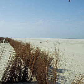 Island Of Texel, Netherlands, Europe by Foto Herzig