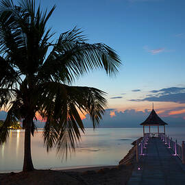 Jamaica, Montego Bay by Douglas Pearson