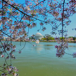 Jefferson Memorial, Washington Dc by Claudia Uripos