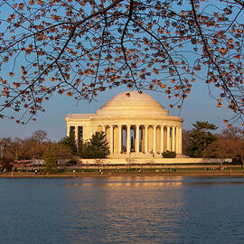 Jefferson Memorial, Washington Dc by Milton Photography