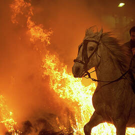 Las Luminarias De San Anton Festival by Pablo Blazquez Dominguez