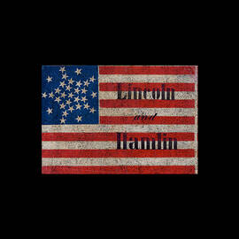 Lincoln Hamlin Vintage by Flippin Sweet Gear