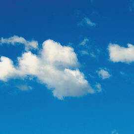 Low Angle View Of Cumulus Clouds In The by Medioimages photodisc