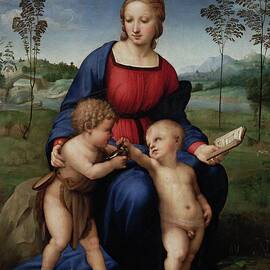 Madonna Del Cardellino by Raphael