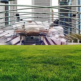 Millennium Park, Chicago, Il by Claudia Uripos