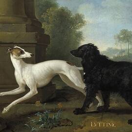 Misse And Luttine by Jean-baptiste Oudry