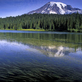 Mount Rainier National Park, Washington by Heeb Photos