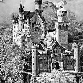 Neuschwanstein Castle In Germany by Olimpio Fantuz