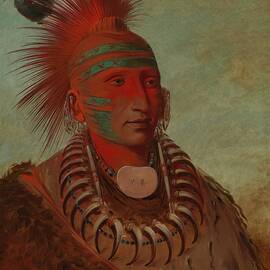 No-ho-mun-ya, One Who Gives No Attention by George Catlin