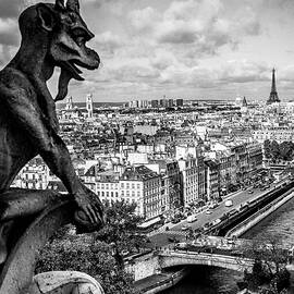 Notre Dame Gargoyle & City Of Paris by Antonino Bartuccio