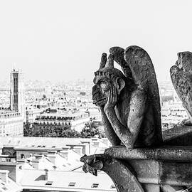 Notre Dame Gargoyle & City Of Paris by Arcangelo Piai