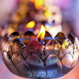Oil Lamps by Lucie Debelkova