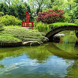 Pond, Brooklyn Botanic Garden, Nyc by Claudia Uripos