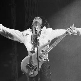 Prince At Madison Square Garden by The Estate Of David Gahr