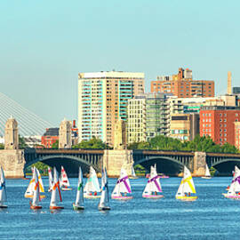 Sailboats On Charles River, Boston, Ma by Laura Zeid